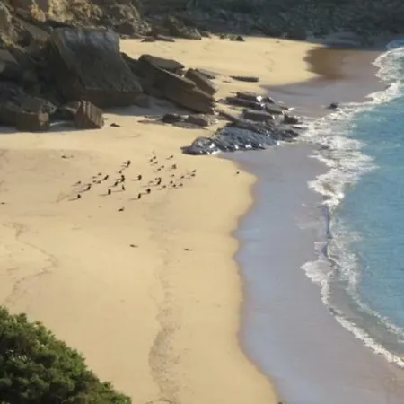 Lounge Seaside Διαμέρισμα *